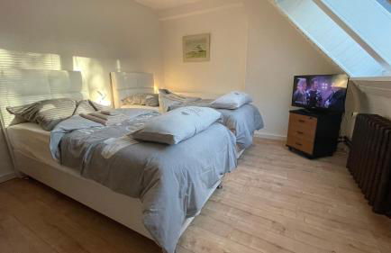 Ferienhaus-Natur-Elbblick-Vollausstattung - Foto 28