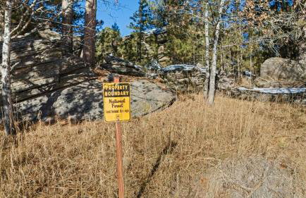 Custer Gem - Foto 19