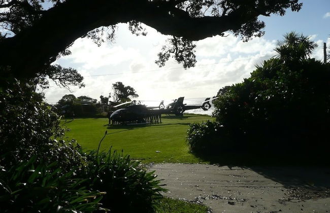 Bethells Beach Cottages - Foto 24
