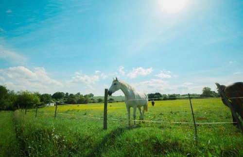 La Ferme des Épis - Foto 43