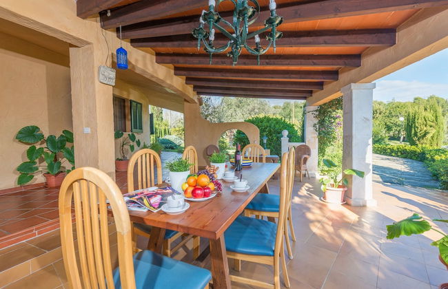 Hibiscus in Sa Pobla - Foto 10