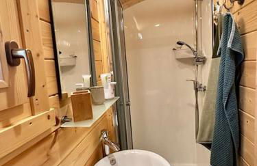 Zauberwagen am Geiseltalsee - Foto 8