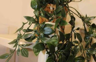 Apartamento El Picu - Foto 38