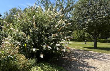 Chalet au calme avec terrasse sur belle propriété - Foto 31