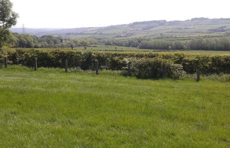 Hamsteels Hall Cottages - Foto 43