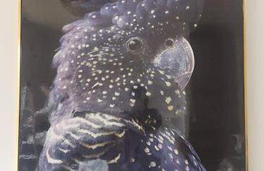 Riverside Cockatoo's Cottage Charming 3 Bed Retreat for up to 10 Guests - Foto 6