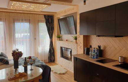 Villa Fortuna - Regionalne apartamenty & SPA - Sauna, Grill, Jacuzzi z widokiem na Tatry - Foto 26