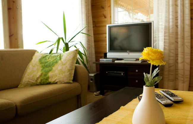 Salkolahti Kiiltavainen - Foto 10