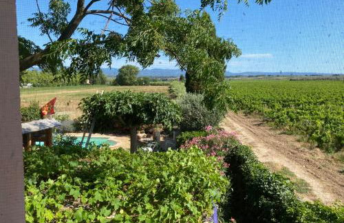 Mas Vigneron - Foto 27