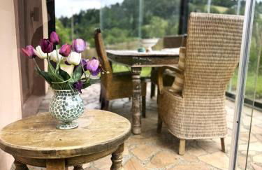 Ferienhaus Kappel mit Pool - Foto 24