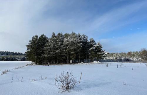 Domek wypoczynkowy Letnisko Sosenkowo - Foto 53