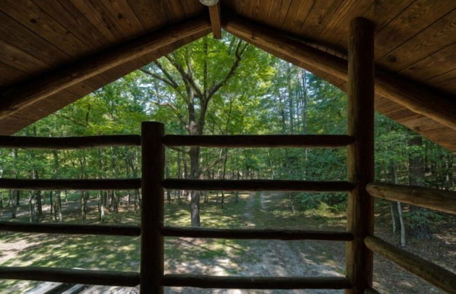 Bean Creek Cabins - Foto 25