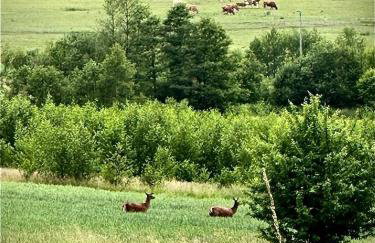 DOM W SUDETACH - Foto 32