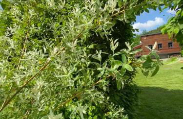 Le Chalet du Bonheur à Soucht - Foto 28