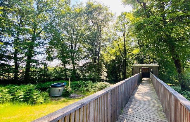 Etape en forêt - Foto 13