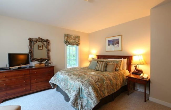 4 BR Dog-friendly Overlook at Topnotch - Photo 4