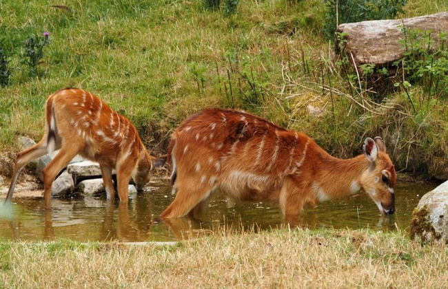 Comfortable Apartment in Nemojov Near Forest - Foto 64
