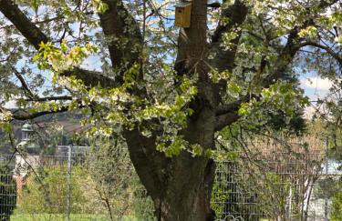 Exklusive Ferienwohnung Bad Salzschlirf - direkt am Waldrand - großer Garten kompett umzäunt - Hunde willkommen - 2 private Stellplätze - Foto 55