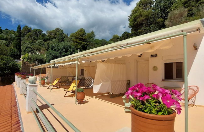 Maeiz Skopelos - Foto 18