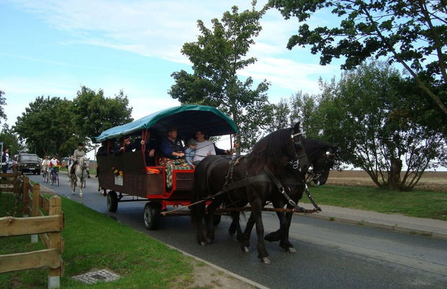 Yellow - Peter's Modern Retreat - Photo 17