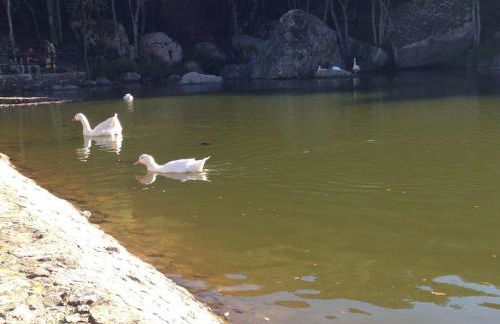 Casa in Gallura - Mare, Montagna, Escursioni - Foto 58