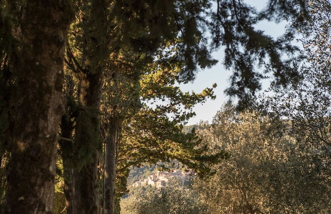 Tenuta La Bandita - Photo 27