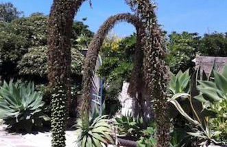 Il GIARDINO della FALENA - Foto 6