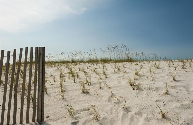 Sea Navarre - Photo 14