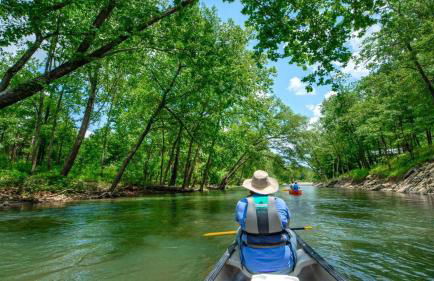 Mountain Bungalow-Walk to Downtown/Biker's Dream! - Foto 44