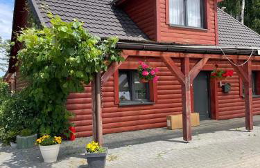 Filipowe Zacisze - Foto 1