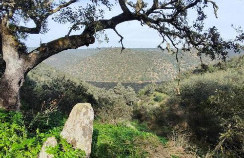 Casa Rural Alegría - Foto 18