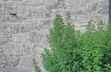 Borgo Vico - Photo 25