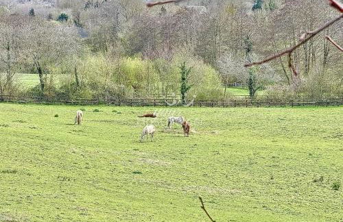 Villa Touquaise YourHostHelper - Photo 47