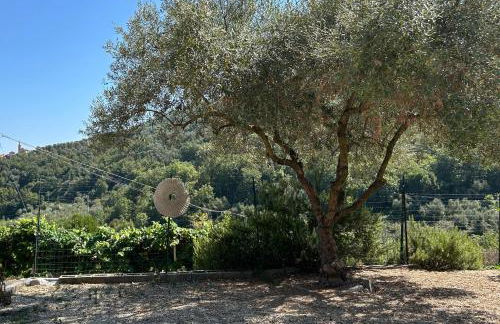 La Casa negli Ulivi, con piscina - Foto 12