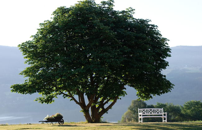 Helgaker Gård - Foto 45