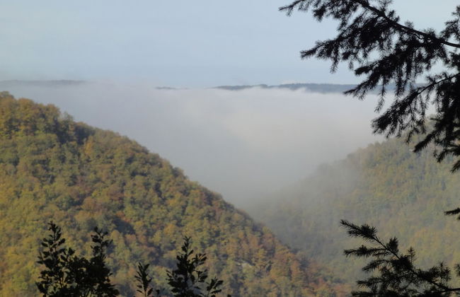 Holiday Home Moselle With Private Sauna - Photo 27