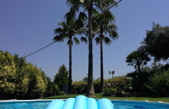 Andromia Studios - Foto 40