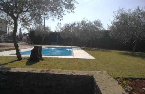 Apartments Majda - Foto 6