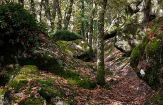 Appartement indépendant, terrasse couverte, rouge - Foto 9