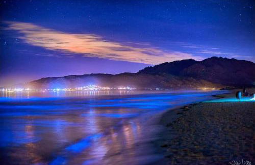 Apartamento O Sinal - Foto 18