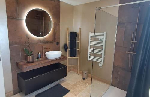 Proche châteaux de la Loire zoo Beauval gite de sologne 3 étoiles - Photo 13