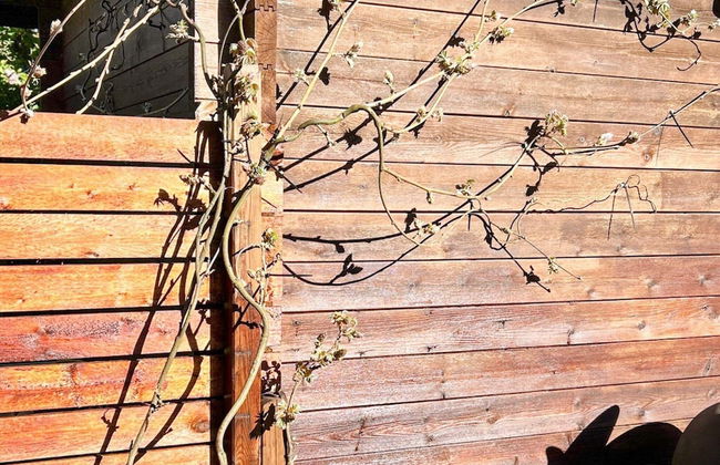 6 Person Holiday Home in Store Heddinge - Foto 19