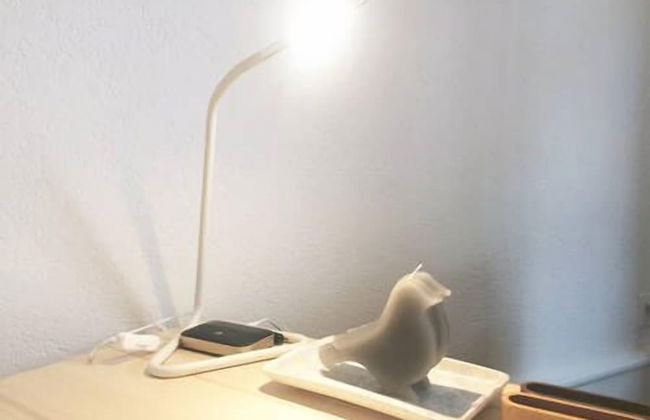 In Swiss Home - Rathaus 1284 historical - Foto 17