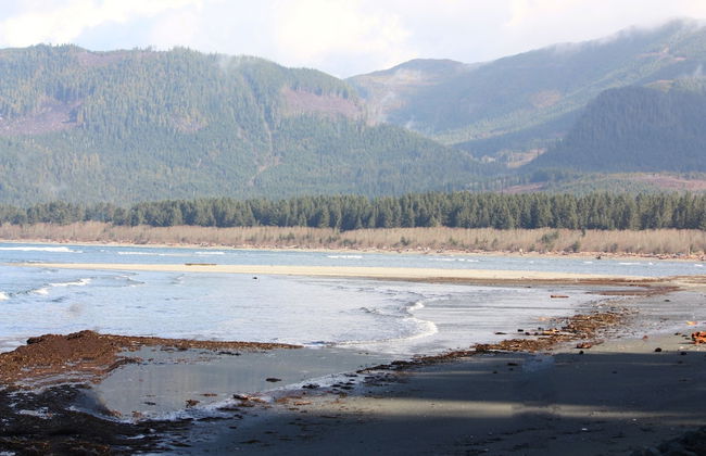 The Great Escape Secluded with Hot Tub - Foto 32