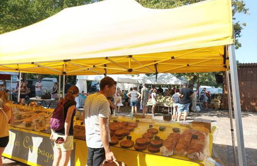 Grande maison entre Lac et forêt - Foto 47