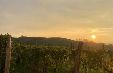 Tenuta Agricola La Cava- Cantina e Agriturismo - Foto 7