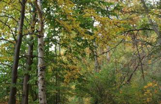 Ferienhaus Seeadler - Photo 20