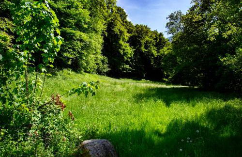 Erholung an den Wasserfällen - Ferienwohnung in Baden-Baden - Stilvolles Apartment mit Terrasse, Parkplatz & ruhiger Lage - Foto 51
