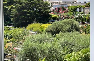 Attico Capri - Photo 56