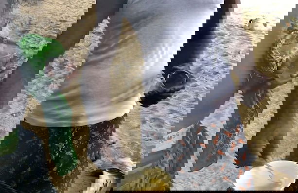 Castara Inn - Photo 39